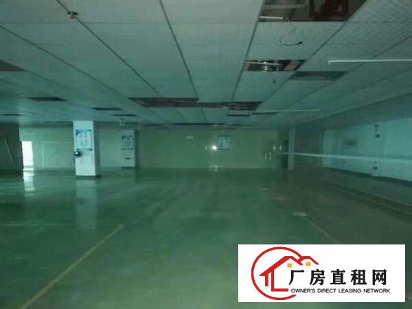 
		龙岗中心城一楼300足平厂房出租
	