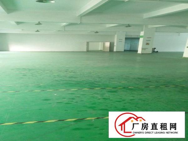 
		龙岗中心城爱联嶂背独院厂房出租4900平米可分租
	