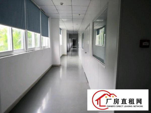 
		龙中心城坪山区大工业区2160平厂房2160平米
	