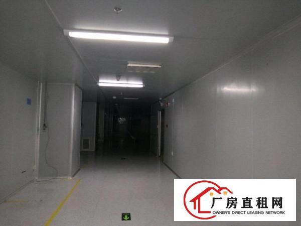
		龙中心城坪山区大工业区2160平厂房2160平米
	