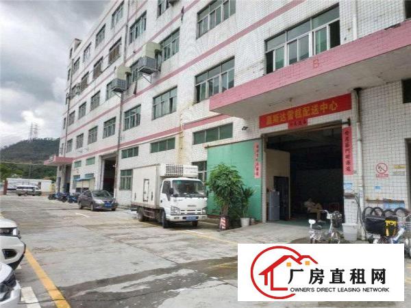 
		龙岗区龙岗中心城电商公司出租
	