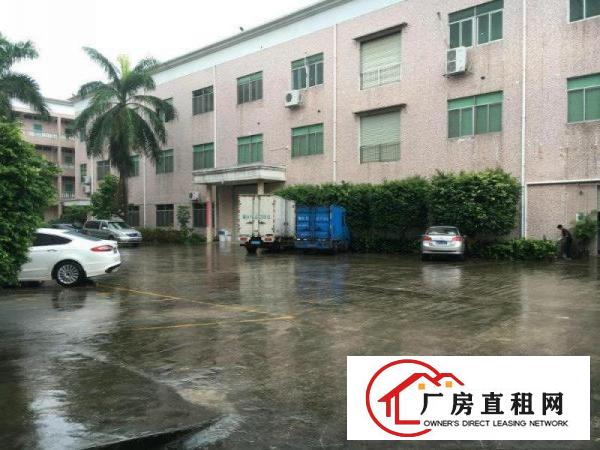 
		龙西原房东无公摊出租二楼1000平有装修适合电商办公电子
	