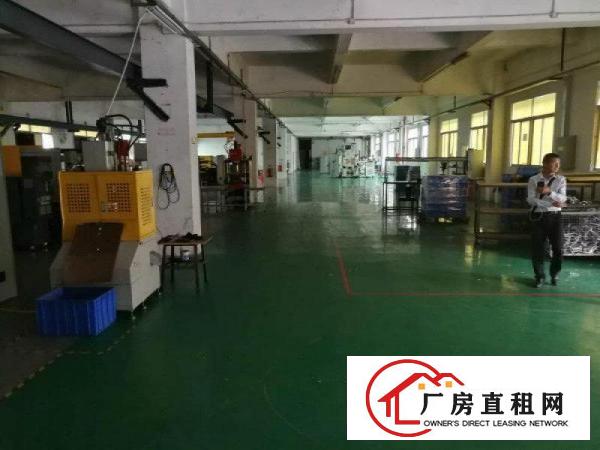 
		龙西原房东无公摊出租二楼1000平有装修适合电商办公电子
	