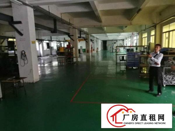 
		龙西原房东无公摊出租二楼1000平有装修适合电商办公电子
	