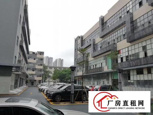 
		龙岗中心城吉祥地铁站电商产业园招租(可分租)
	