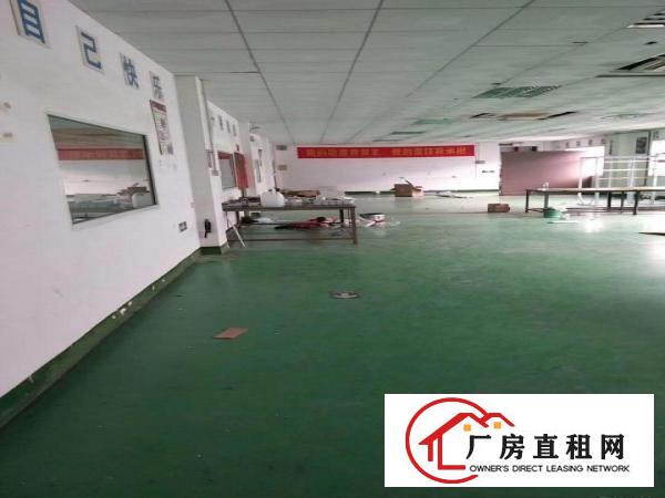 
		龙岗区新鲜出炉独院三楼现成800平精装修厂房
	