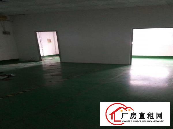 
		龙岗区新鲜出炉独院三楼现成800平精装修厂房
	
