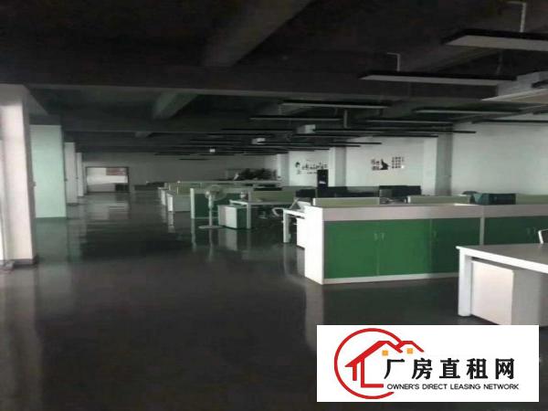 
		龙岗嶂背原房东独院三楼1200平带装修厂房出租可分租
	