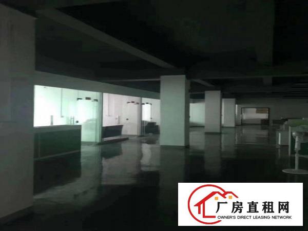 
		龙岗嶂背原房东独院三楼1200平带装修厂房出租可分租
	