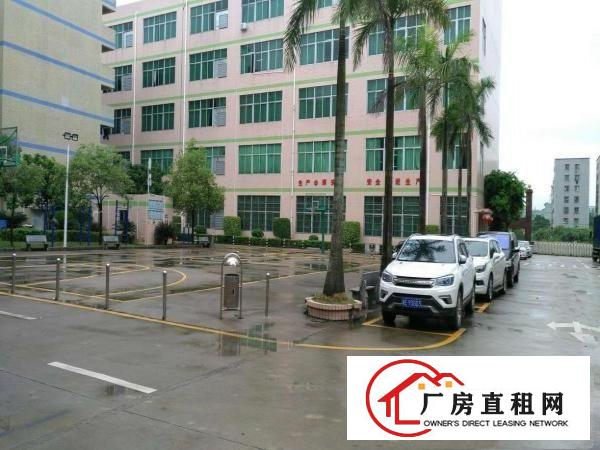 
		龙岗新生龙岗大道边百万装修免费用900平方出租
	