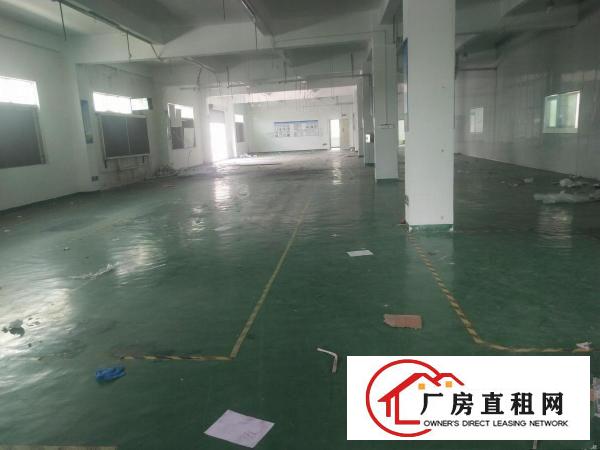 
		龙岗南通道边原房东独栋3000平现成办公楼出租
	