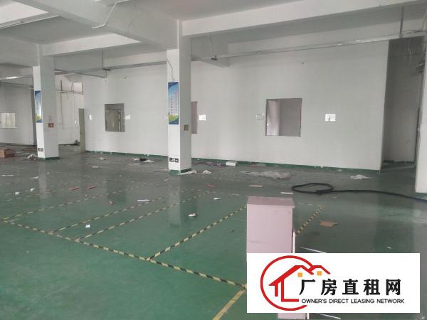 
		龙岗南通道边原房东独栋3000平现成办公楼出租
	