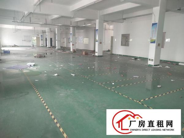 
		龙岗南通道边原房东独栋3000平现成办公楼出租
	