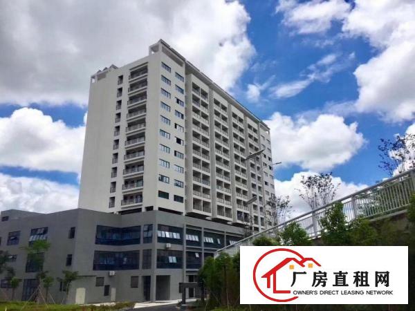 
		龙岗中心城花园式全新工业园厂房出租300平米起分租
	