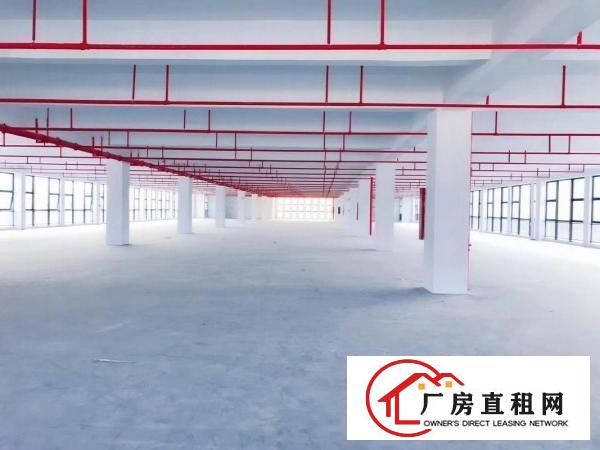 
		出租龙岗区宝龙物流园，空地1万平带卸货平台
	