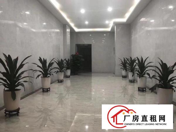 
		龙岗中心城龙西新出适合电商仓库厂房350平
	