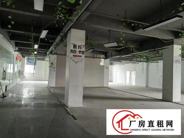 
		（业主直招）龙岗南联地铁口厂房仓库大小招租22平起
	