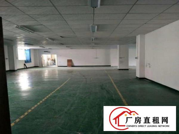 
		15元出租龙岗龙西原房东带装修厂房，单层500平
	