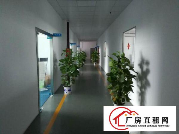 
		龙岗新生楼上850平方厂房低价出租（可分租）
	