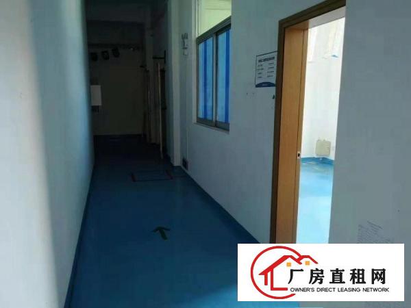 
		龙岗新生原房东2楼850平精装修厂房出租无公摊水电齐全
	