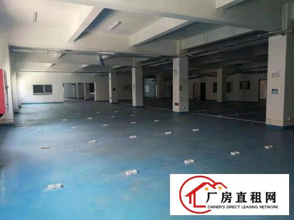 
		龙岗新生原房东2楼850平精装修厂房出租无公摊水电齐全
	