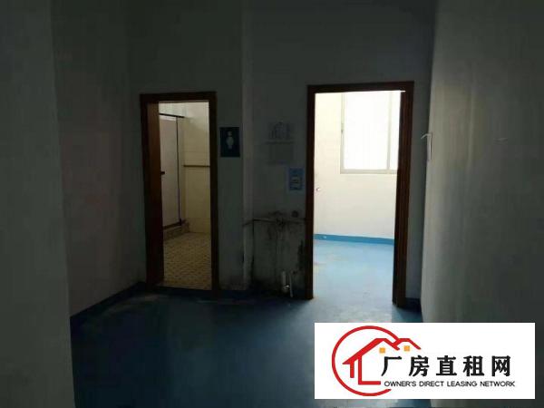
		龙岗新生原房东2楼850平精装修厂房出租无公摊水电齐全
	