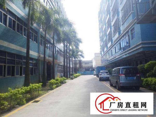 
		龙岗南联地铁口边新出680平带装修厂房
	
