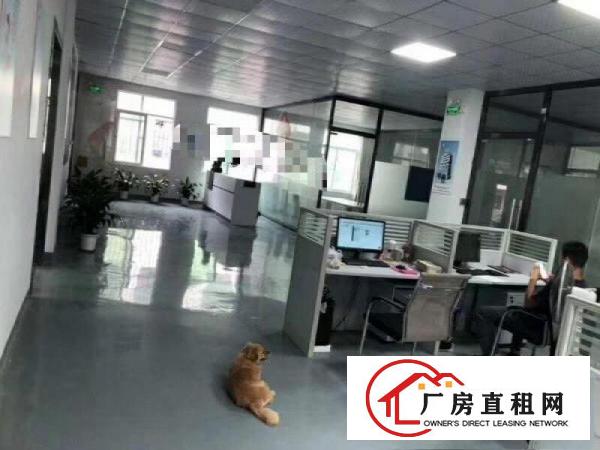 
		龙岗南联地铁口边新出680平带装修厂房
	