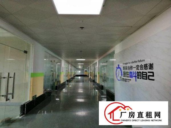 
		龙岗原房东大型标准厂房70平2000平可分租
	