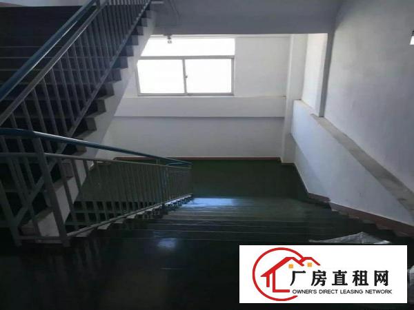 
		龙岗北通道6000平独院厂房出租，可分租业主直租
	