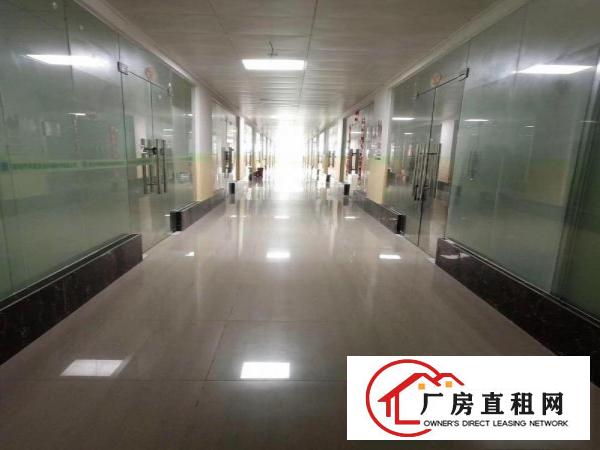 
		淘宝电商办公仓库贸易产业园100平200平400平出租
	