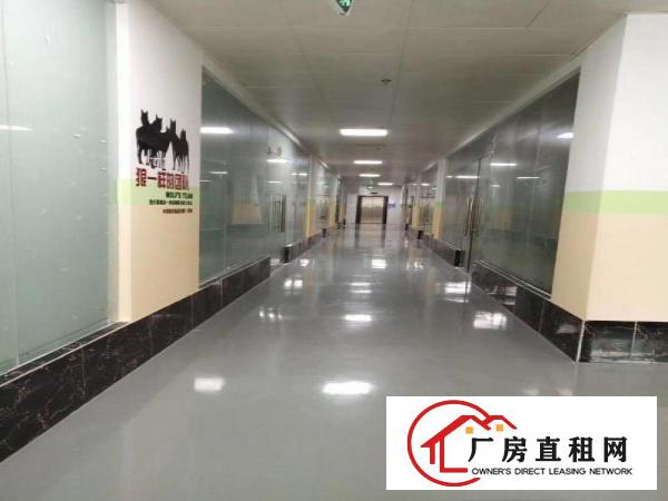 
		淘宝电商办公仓库贸易产业园100平200平400平出租
	
