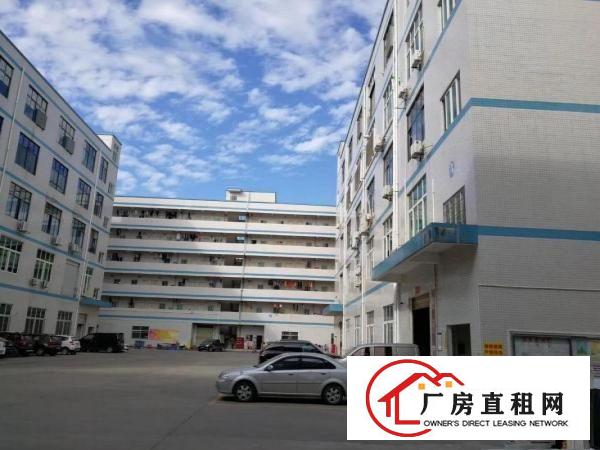
		龙岗区新鲜出炉独院一楼520平精装修厂房
	