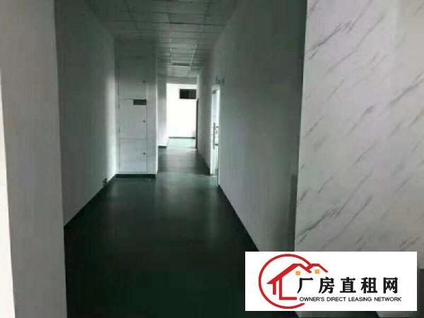 
		同乐新出楼上实际面积1800平带豪华装修带红本
	