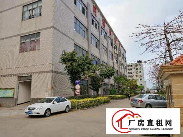 
		龙岗原房东厂房出租3楼2500平实际面积可分租有装修地坪漆
	