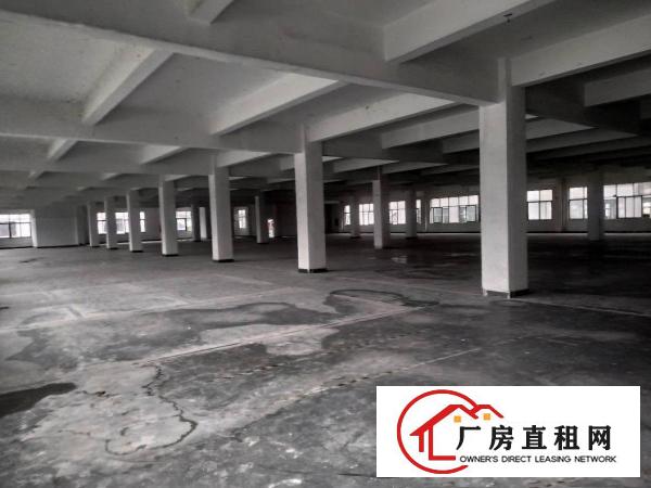 
		龙岗原房东厂房出租3楼2500平实际面积可分租有装修地坪漆
	
