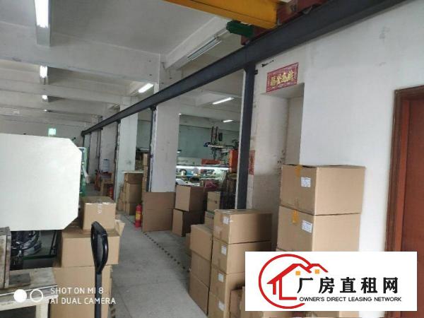 
		龙岗同乐深汕路旁超低价厂房1楼600平现成水电带行车出租
	