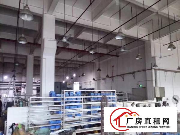 
		开小厂的福音！高6.8米！空地大！龙岗新出原房东一楼600平
	
