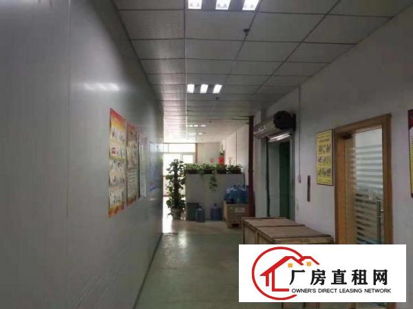 
		同乐厂房大甩租！龙岗同乐工业区厂房500平米甩租
	