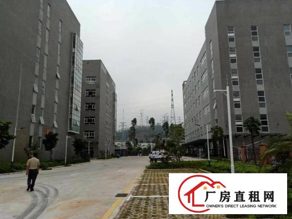 
		龙岗原房东红本高新产业园15000平厂房出租可分租
	