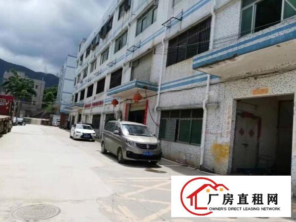 
		龙岗三号线爱联地铁站附近1公里原房东一楼带精装修200平起租
	