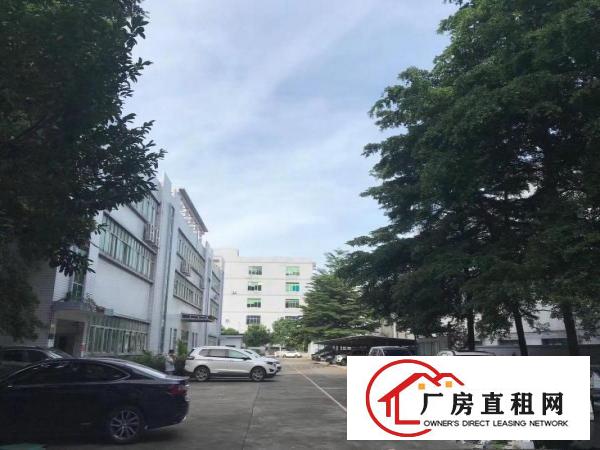 
		龙岗龙东有红本厂房3楼1350平带精装修使用率80
	