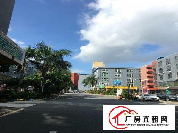 
		物业直招龙岗南联地铁口厂房仓库招租22平起
	