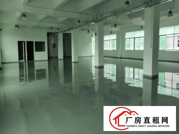 
		龙岗爱联高新园区独栋3780平米厂房出租原房东红本物业
	