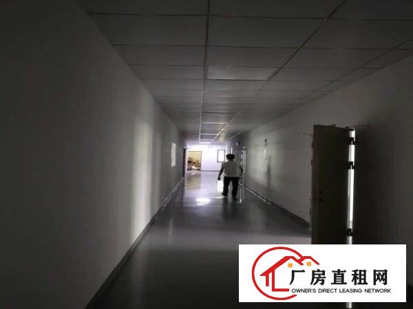 
		龙岗嶂背经典小独院3600平厂房出租可分租有装修
	