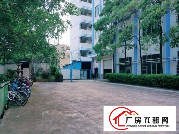 
		龙岗地铁站旁厂房出租1000平3000平带装修地坪漆可分租
	