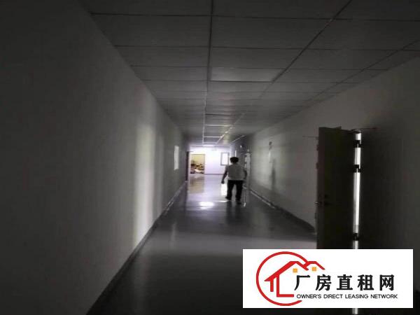 
		龙岗嶂背经典小独院3600平厂房出租可分租有装修
	