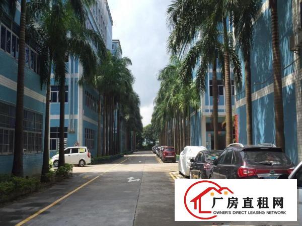 
		龙岗电商仓储办公工业园现成装修300到3千均可分租
	