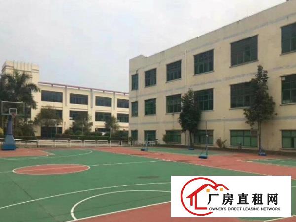 
		龙岗嶂背新出四楼整层带装修900平有电梯可分租
	