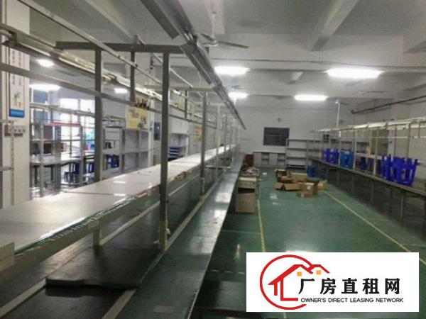 
		龙岗嶂背新出四楼整层带装修900平有电梯可分租
	
